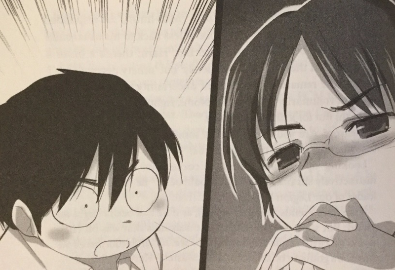 Illustration for article titled Accel World Vol. 4: Flight Toward A Blue Sky - Light Novel Review